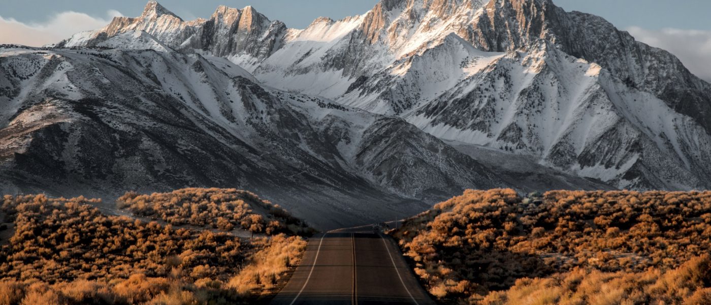 image-from-rawpixel-id-437320-jpeg_recompress